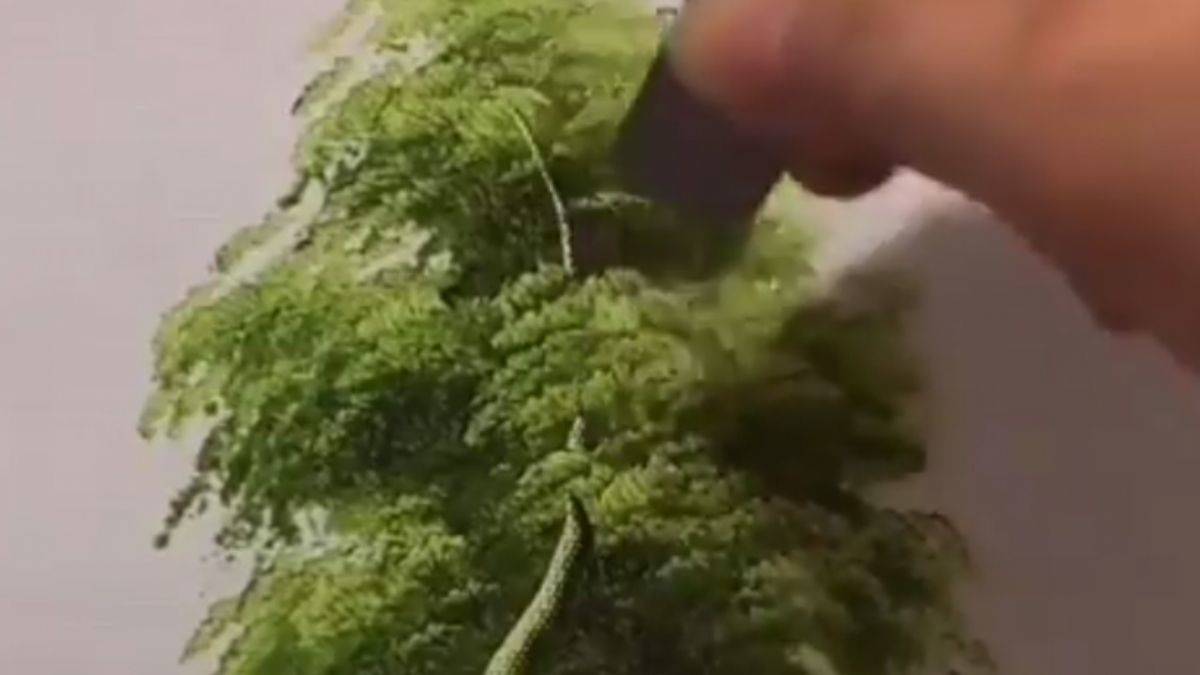 Ressamın çizdiği ağacın gövdesini tamamladığı harika görüntüler