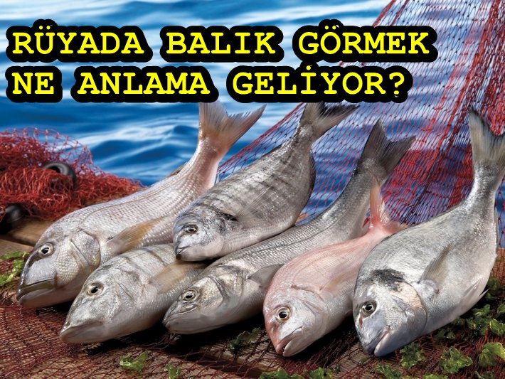 Rüyada balık görmek Diyanet | Rüyada balık görmek ne anlama gelir? Rüyada balık iyi mi kötü mü?