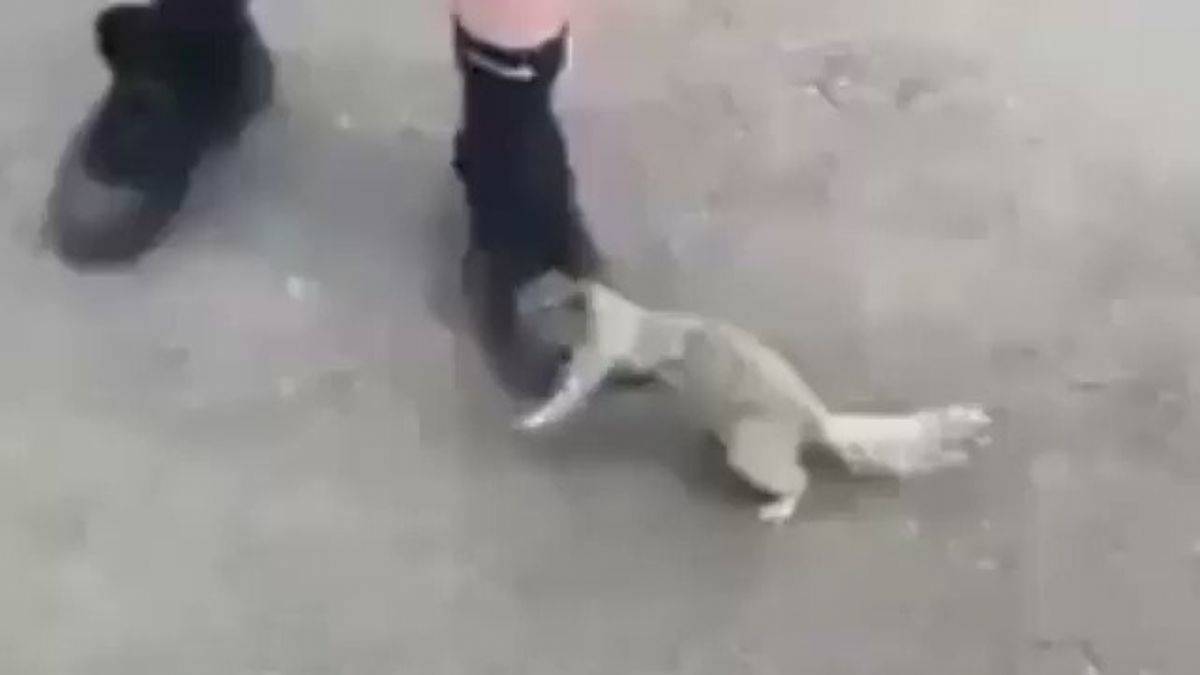 Suya muhtaç canlıları unutmayalım!