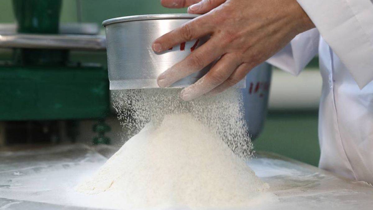 Türkiye'nin un ihracatı 500 milyon dolara yaklaştı