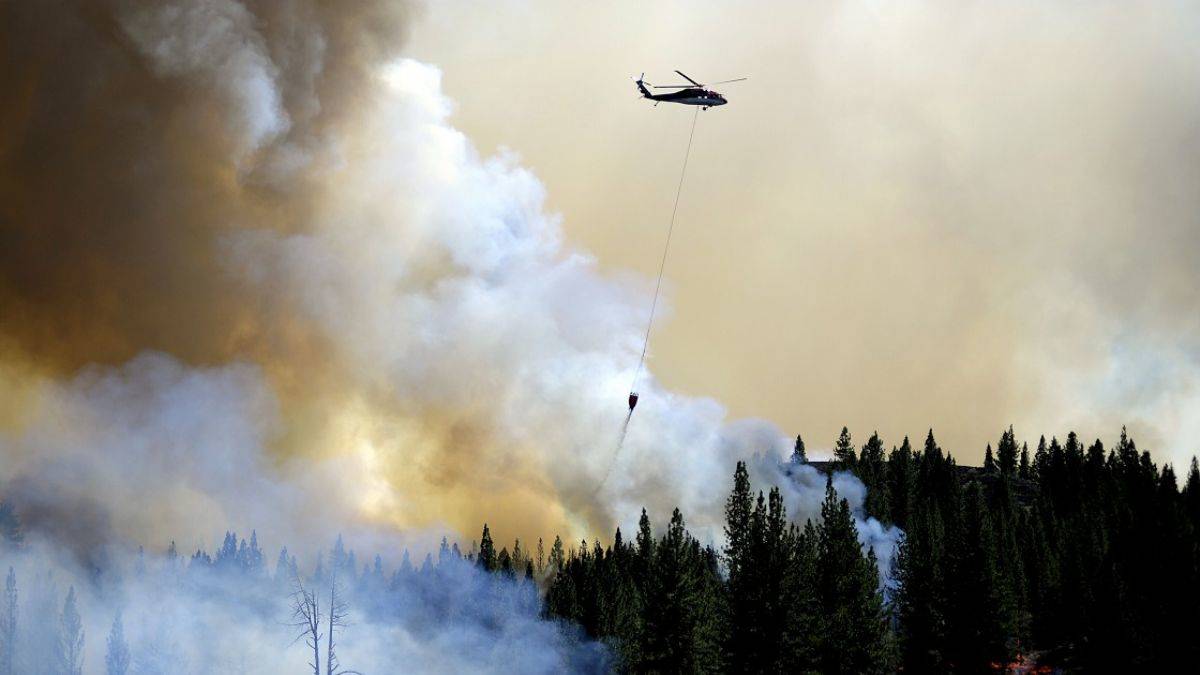 Dünyada orman yangınları