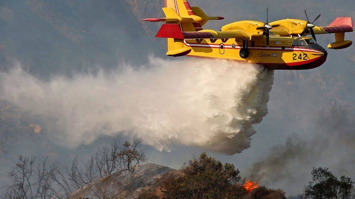 Bakan Pakdemirli: THK'da siyasi hareket edenler var