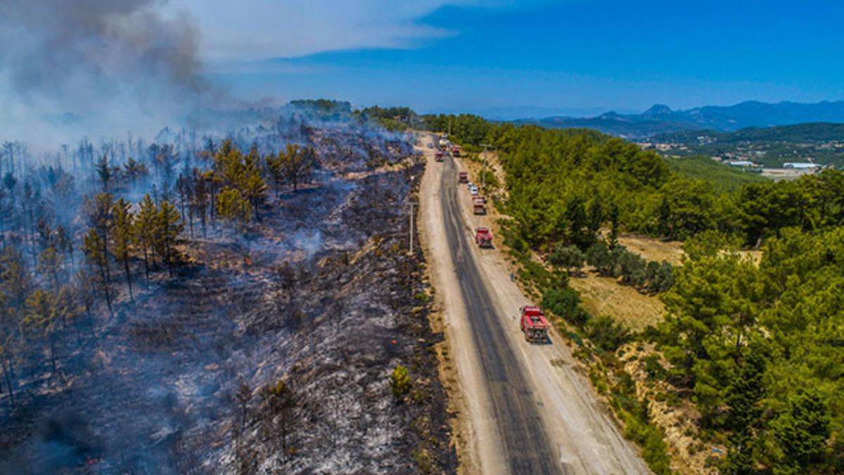 Orman yangınları; AFAD il il açıkladı