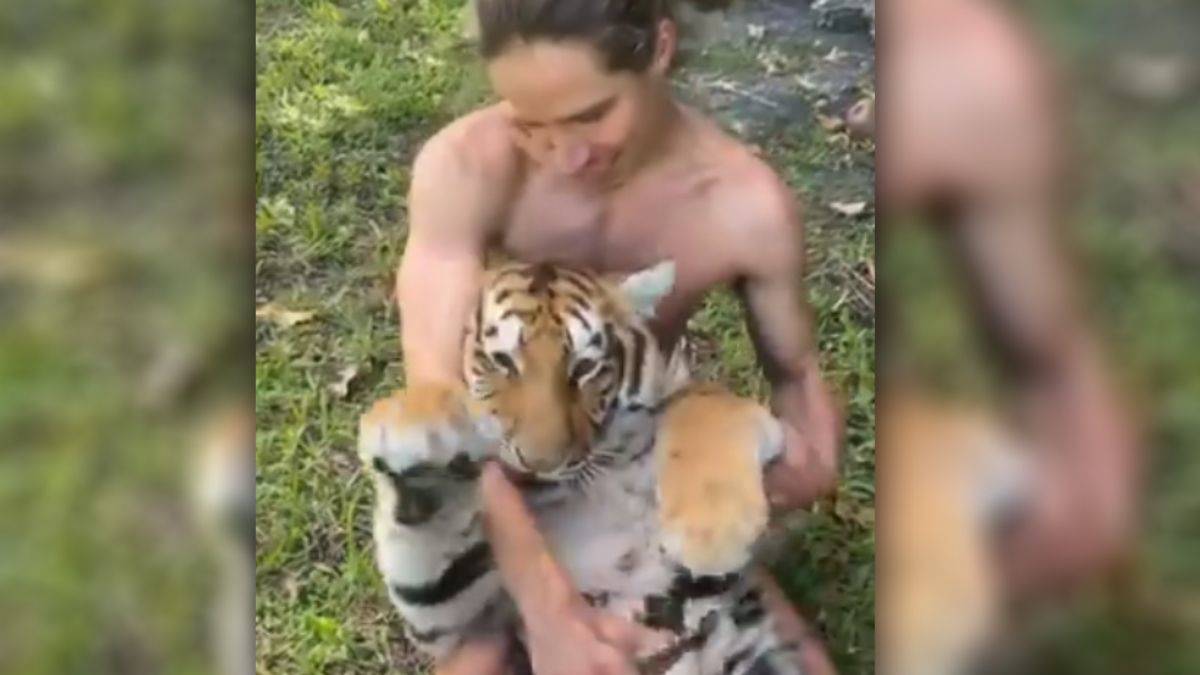 Kaplanın masaj keyfi