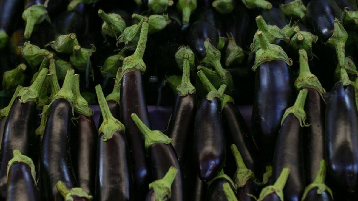 TÜİK: Yurt içi turlar pahalandı, en ucuz patlıcan oldu