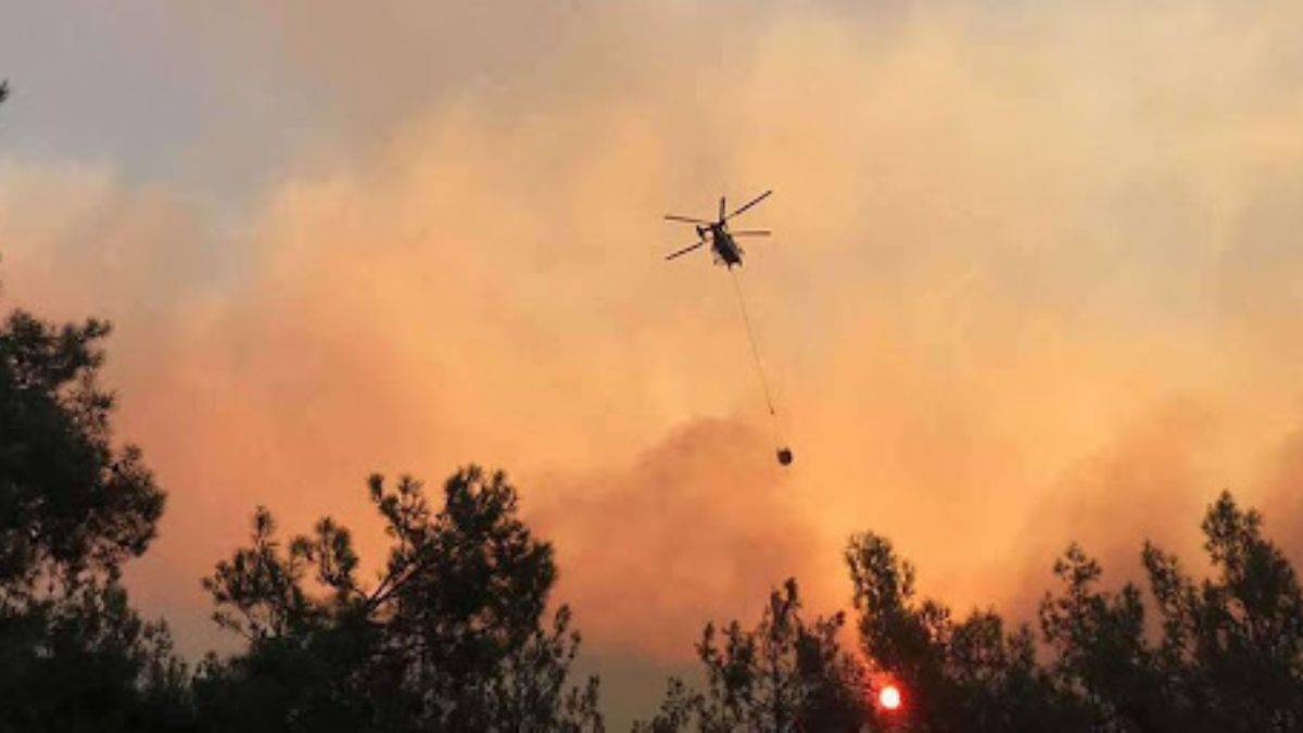 Milas, Bodrum ve Kavaklıdere'den görüntüler