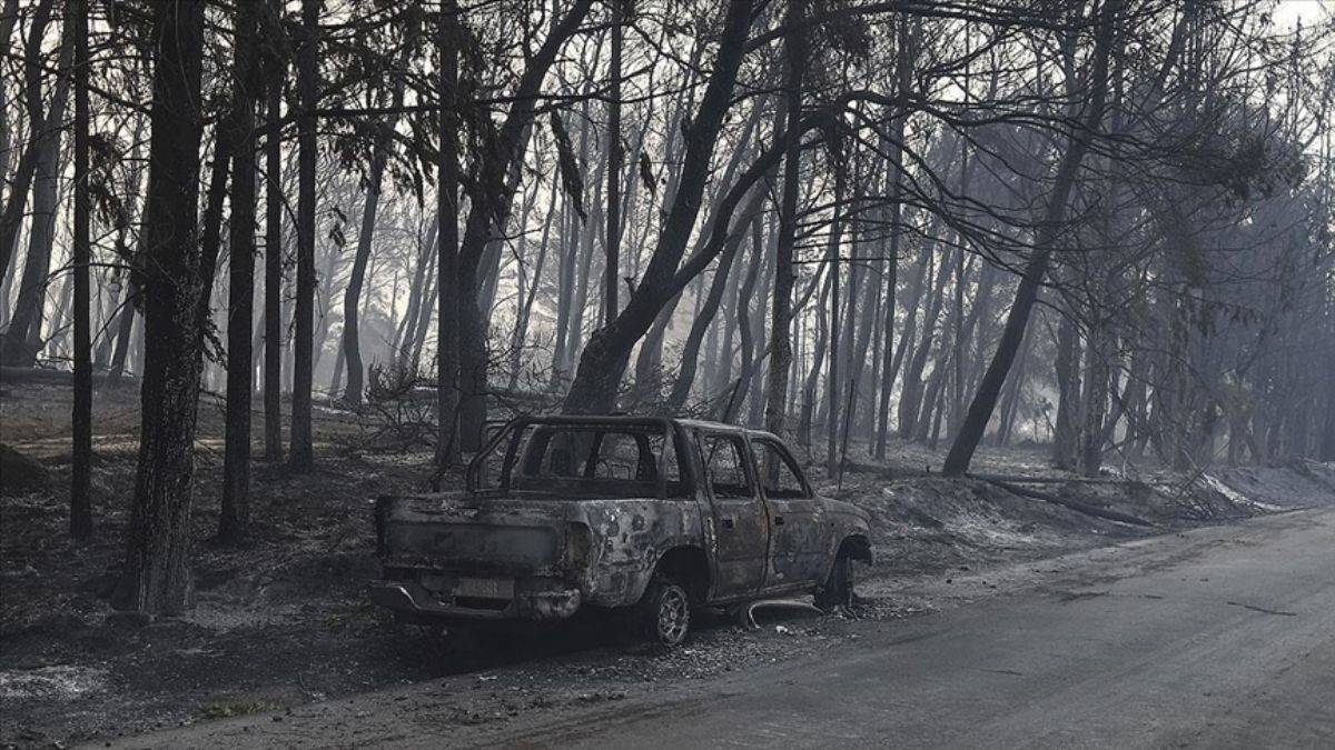 Dünyadaki orman yangınlarında son durum ne?