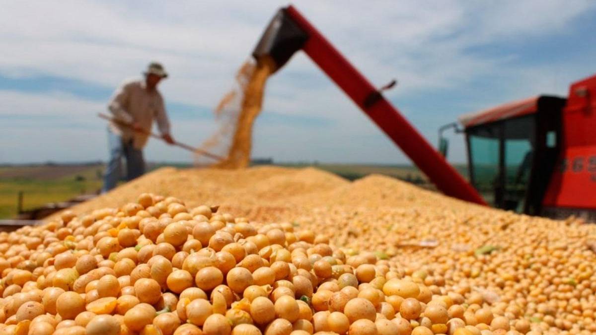 Rusya'dan Türkiye'ye tarım ürünleri ihracatında artış