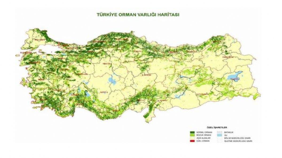 Türkiye'nin orman varlığı