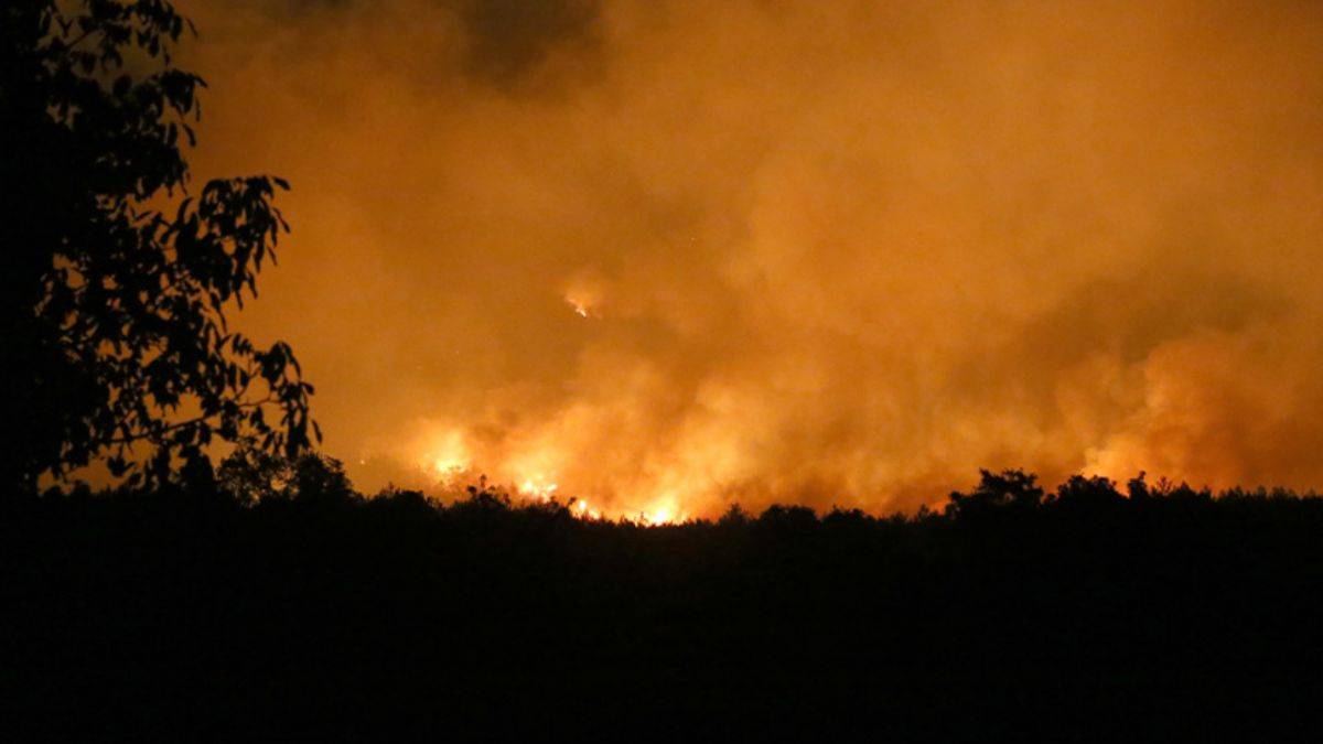 Muğla ve Denizli'de çıkan orman yangınlarına müdahale ediliyor
