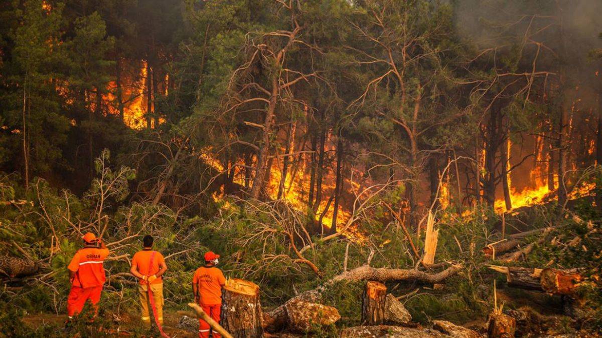 Mücbir sebep hali nedir? Mücbir sebep hali ilan edilince ne olur?