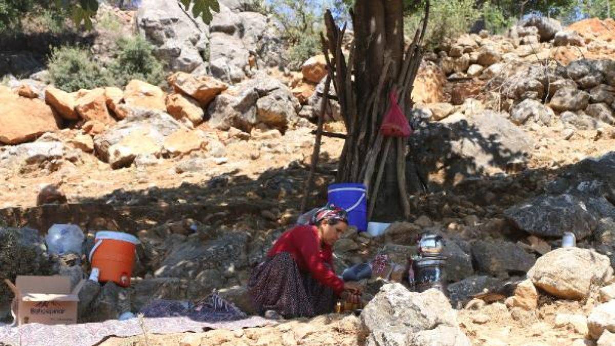 Orman yangınında evleriyle birlikte geçmişleri de yandı