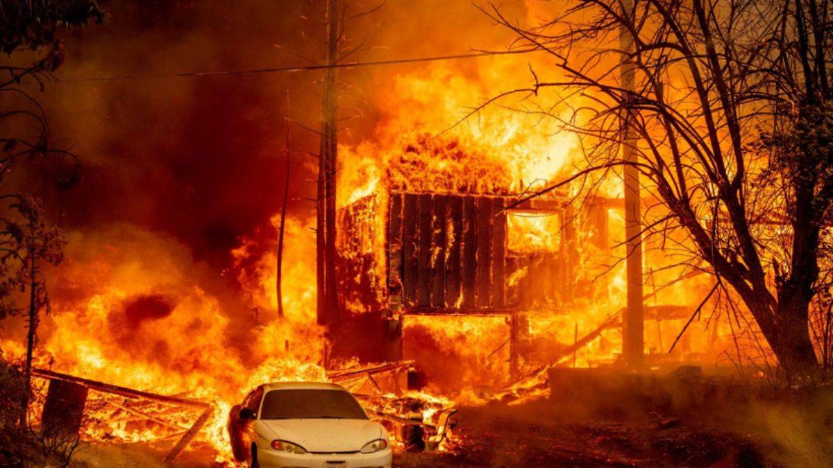 Dixie yangını California’yı esir aldı: Binlerce kişi tahliye edildi