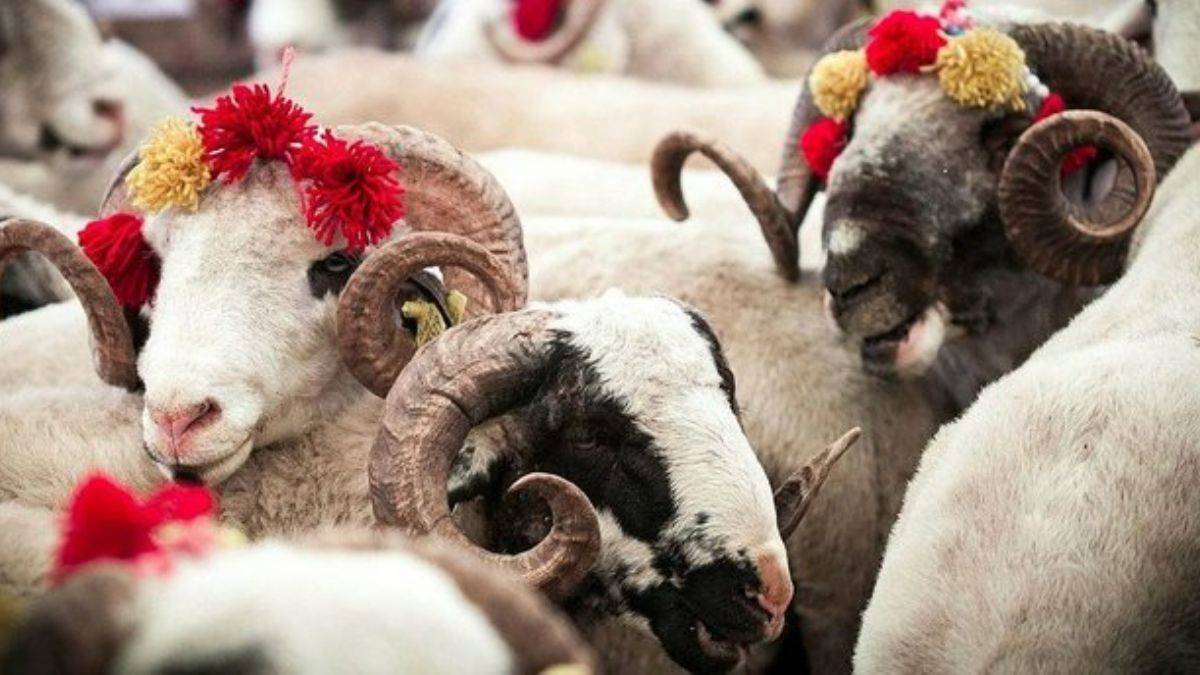 Borcu olanlar kurban kesebilir mi?