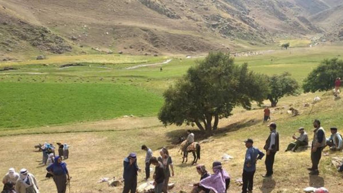 Yıldırım isabet eden 30 koyun telef oldu