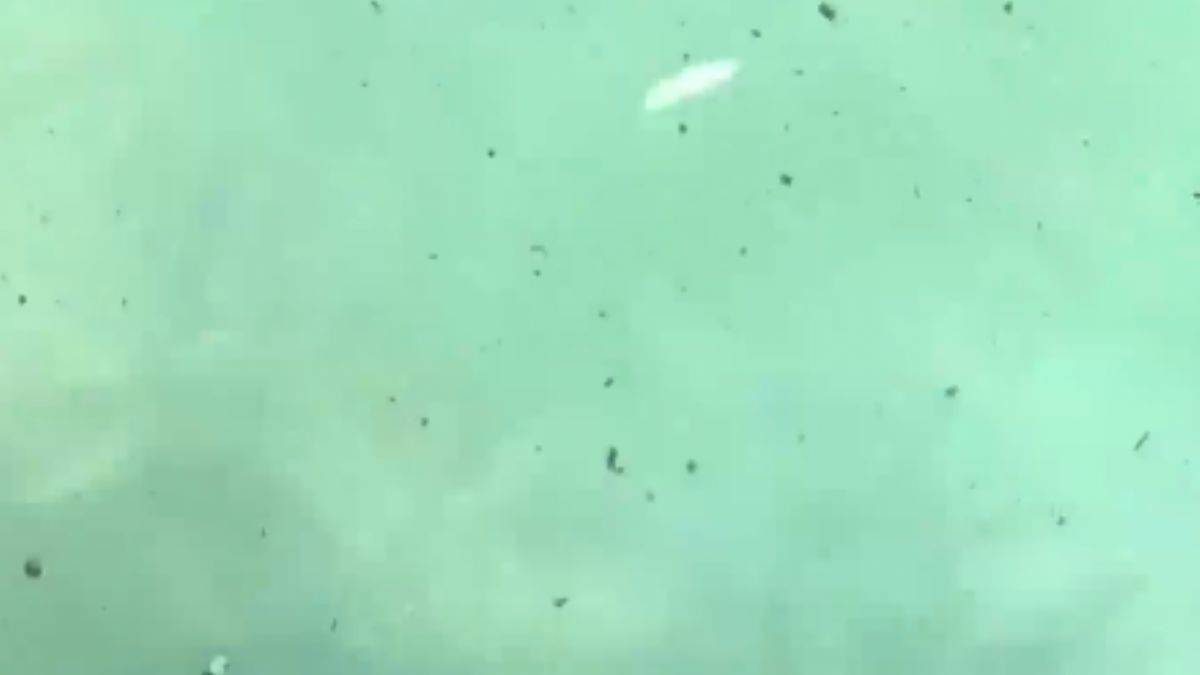 Kaş sahillerini kül bastı