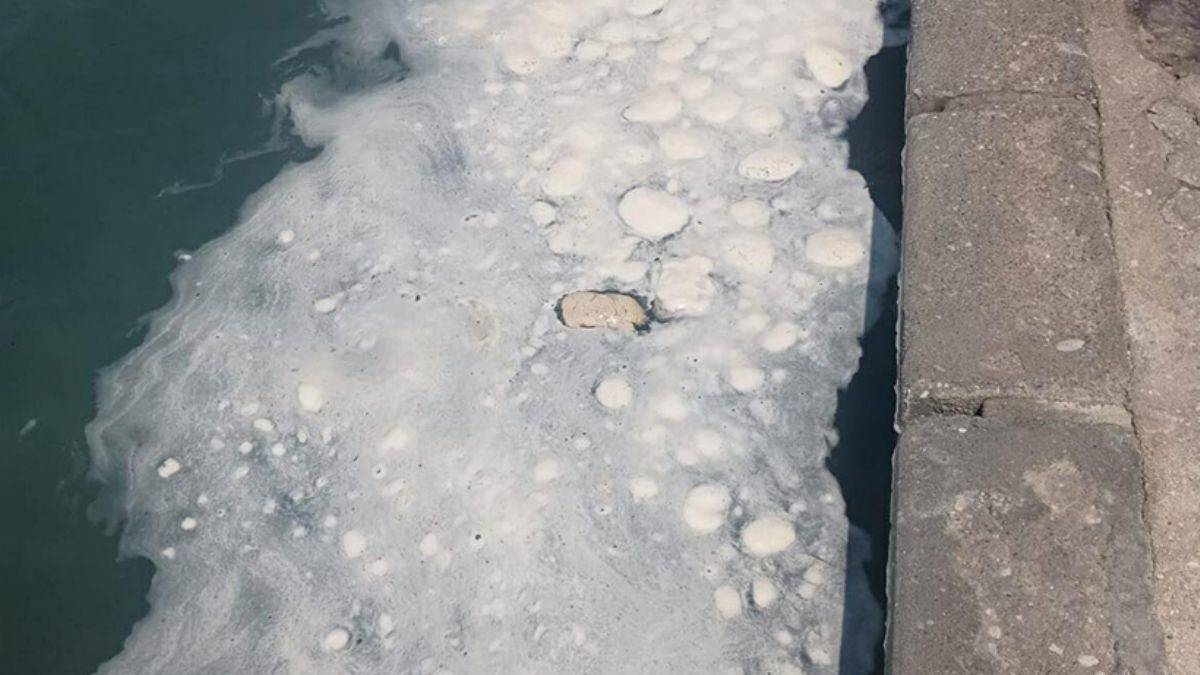 Muğla’da tatilcileri tedirgin eden görüntü