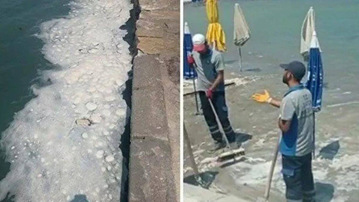 Datça sahilinde müsilaj benzeri görüntü