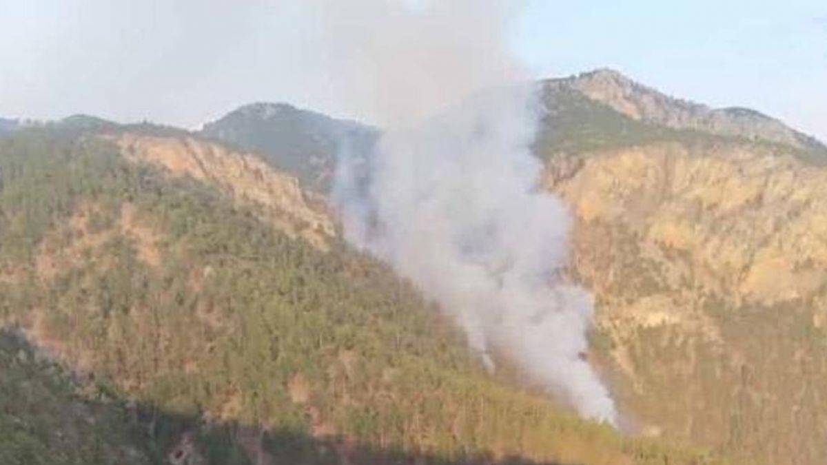 Datça'da yeni yangın!