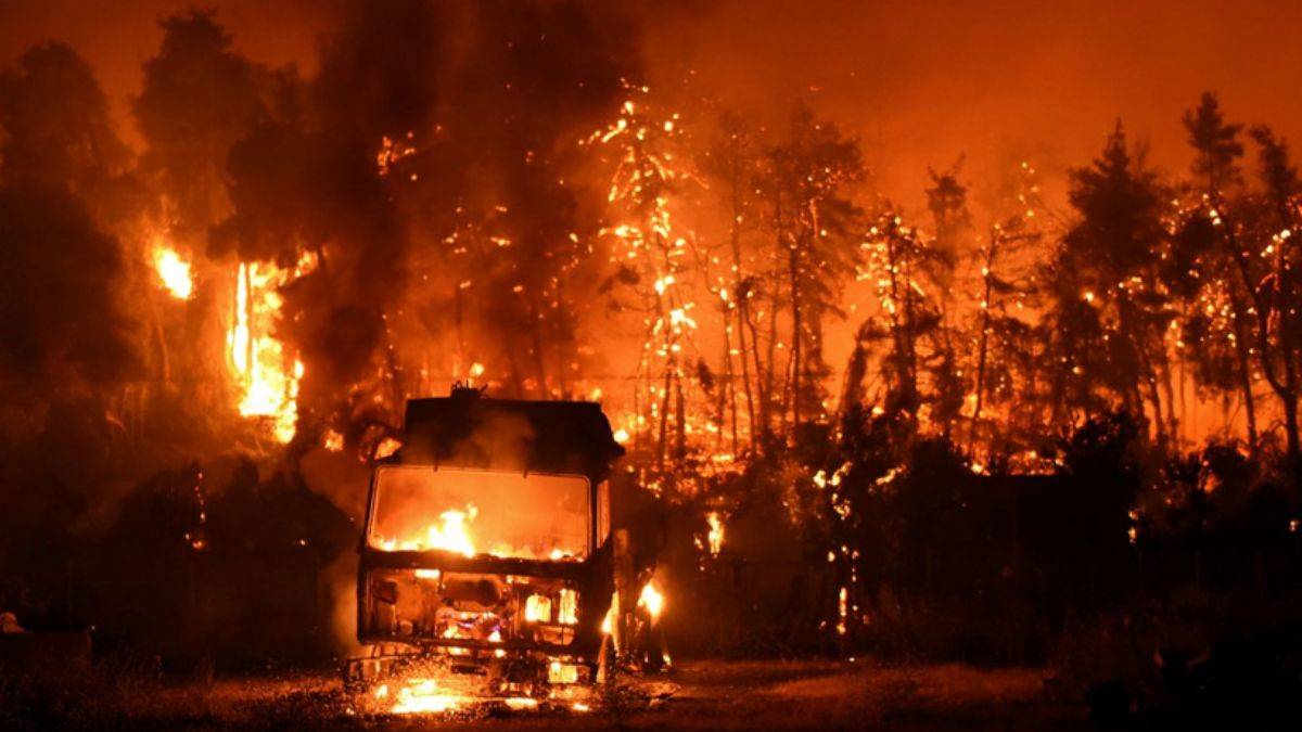 Dünya orman yangınları ile boğuşuyor: İşte ülke ülke son durum...