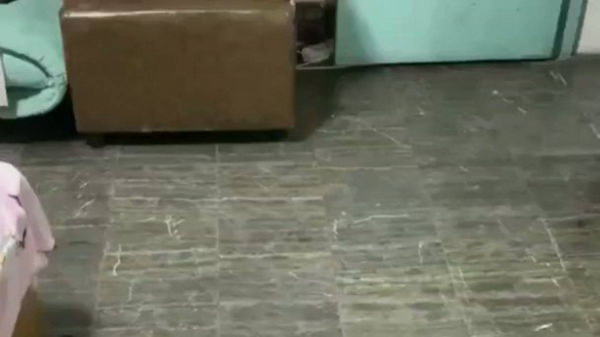 Alman kurt köpeğinin kulaklarının hassasiyeti şaşırtıyor