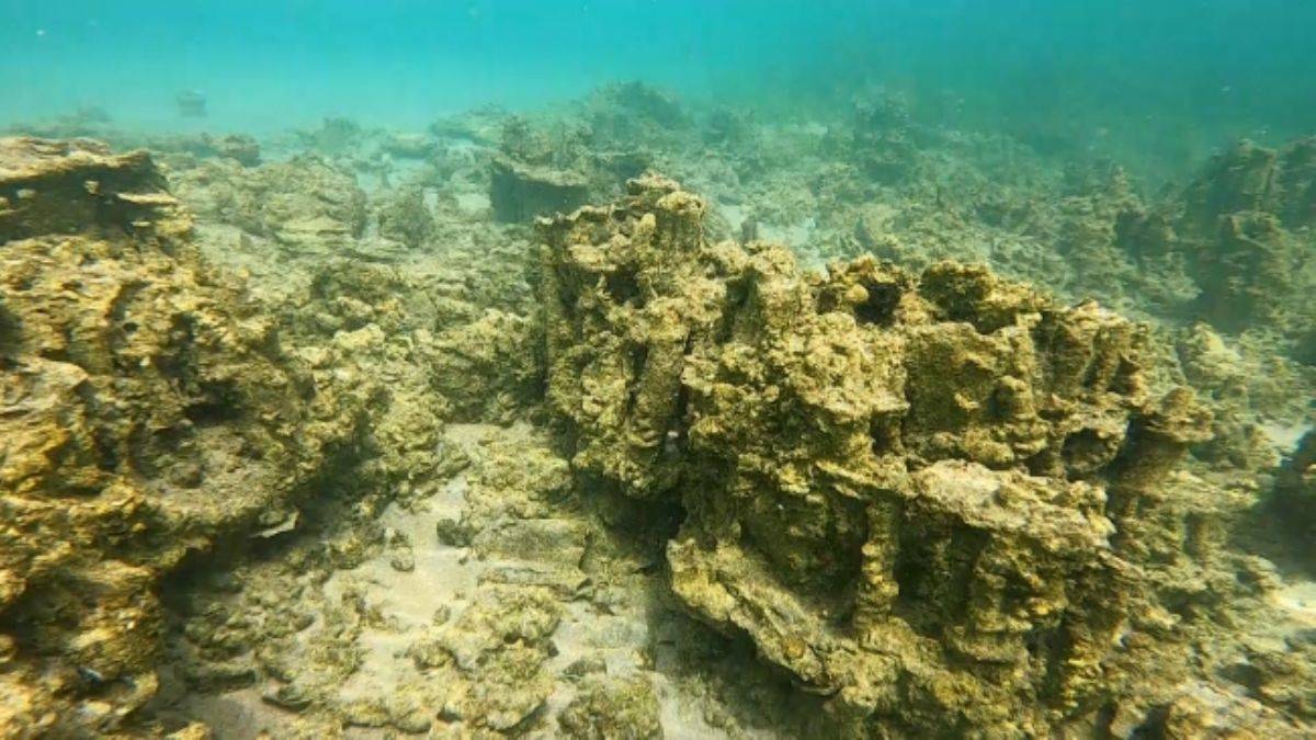 Van Gölü'nde yeni bir keşfe imza atıldı