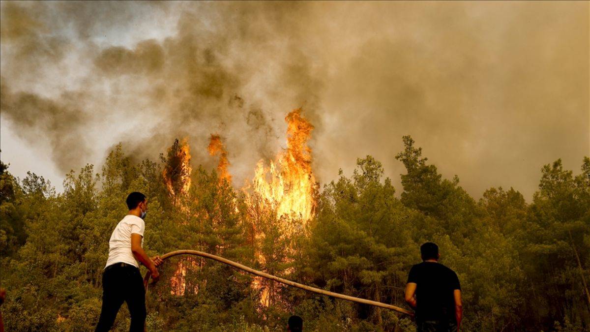 Milas ve Köyceğiz harici tüm yangınlar kontrol altına alındı
