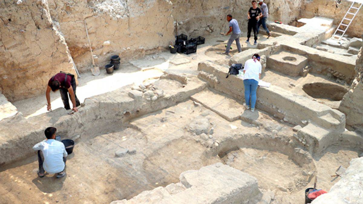Hatay'da 4 bin 300 yıllık zeytin çekirdekleri bulundu