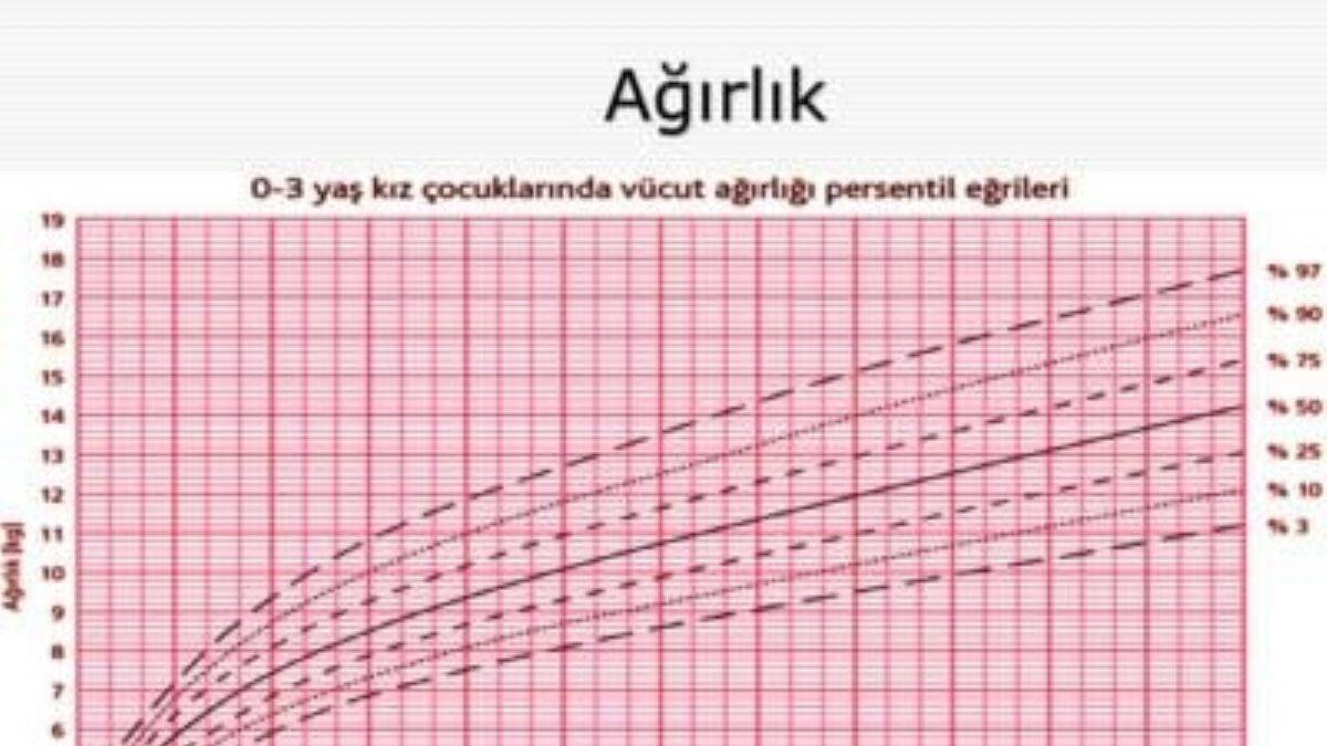 persentil nedir kiz cocuklarinda persentil nasil olur timeturk haber