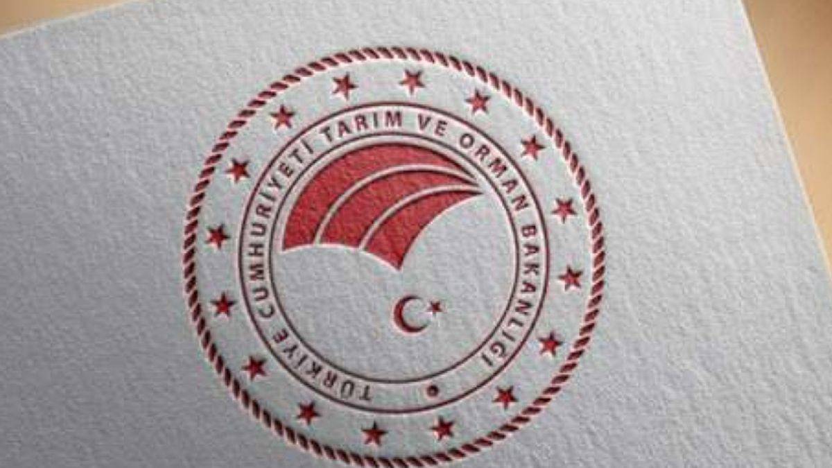 Tarım ve Orman Bakanlığı'na siber saldırı