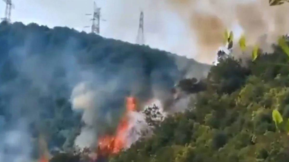 Sarıyer'deki orman yangını neden çıktı? Sarıyer'deki yangın söndürüldü mü?