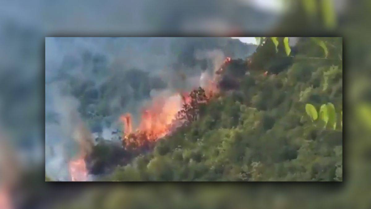 İstanbul Sarıyer'de orman yangını