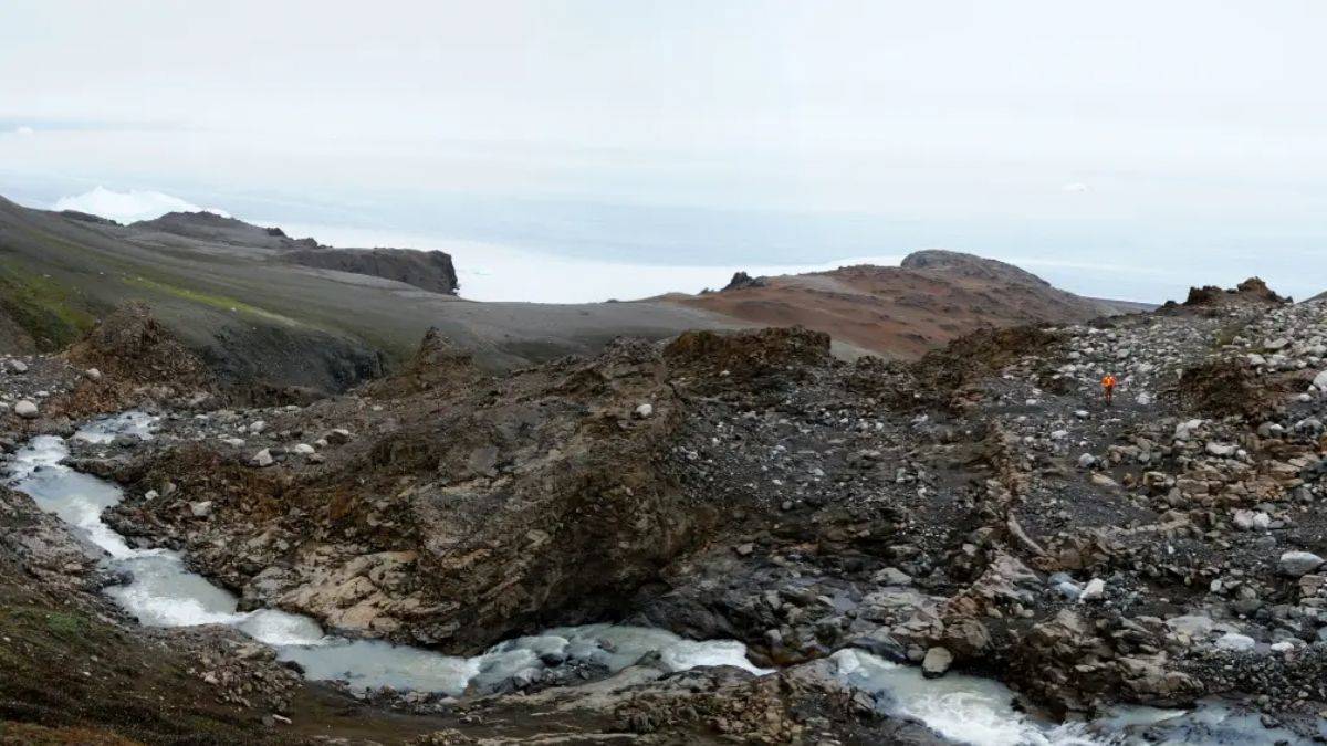 Bill Gates ve Bezos'un desteklediği KoBold, Grönland'da 'hammadde' arayacak