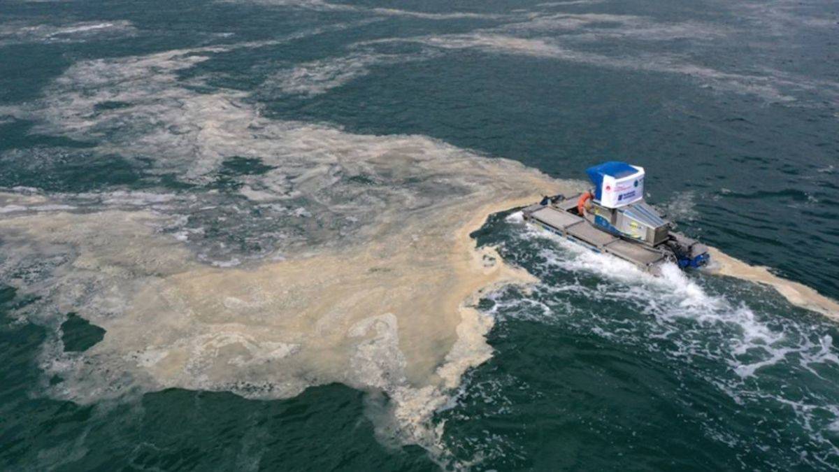 Koloniyal müsilaj nedir? Marmara'da Müsilaj yeniden mi çıktı?