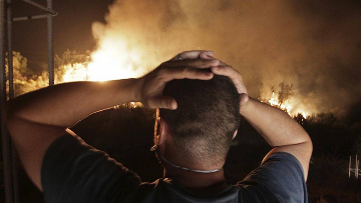 Cezayir'de orman yangınlarının bilançosu büyüyor: Ölü sayısı 69'a yükseldi