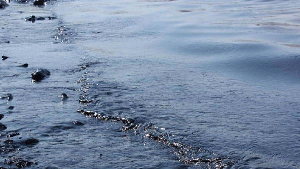 Karadeniz kıyısındaki petrol sızıntısı, açıklanandan 400 bin kat daha fazla