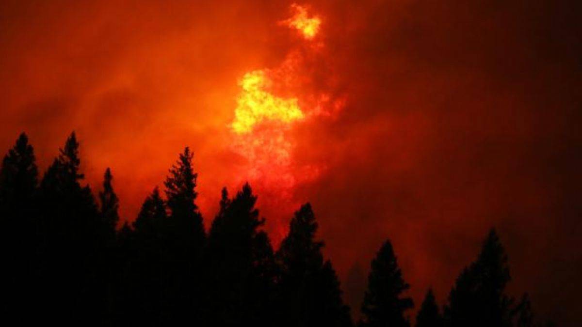 California'da yangının yalnızca yüzde 30'u kontrol altına alınabildi