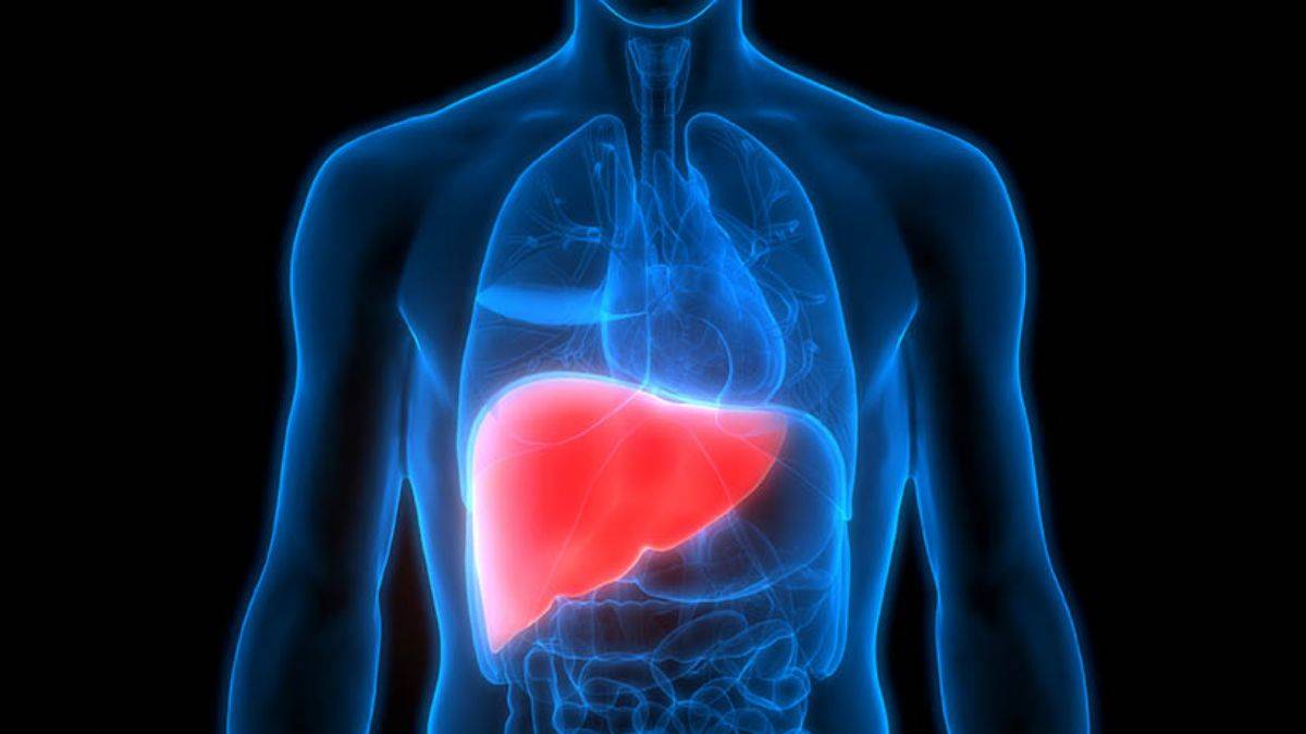 Karaciğerin alarm verdiğini gösteren 10 işaret