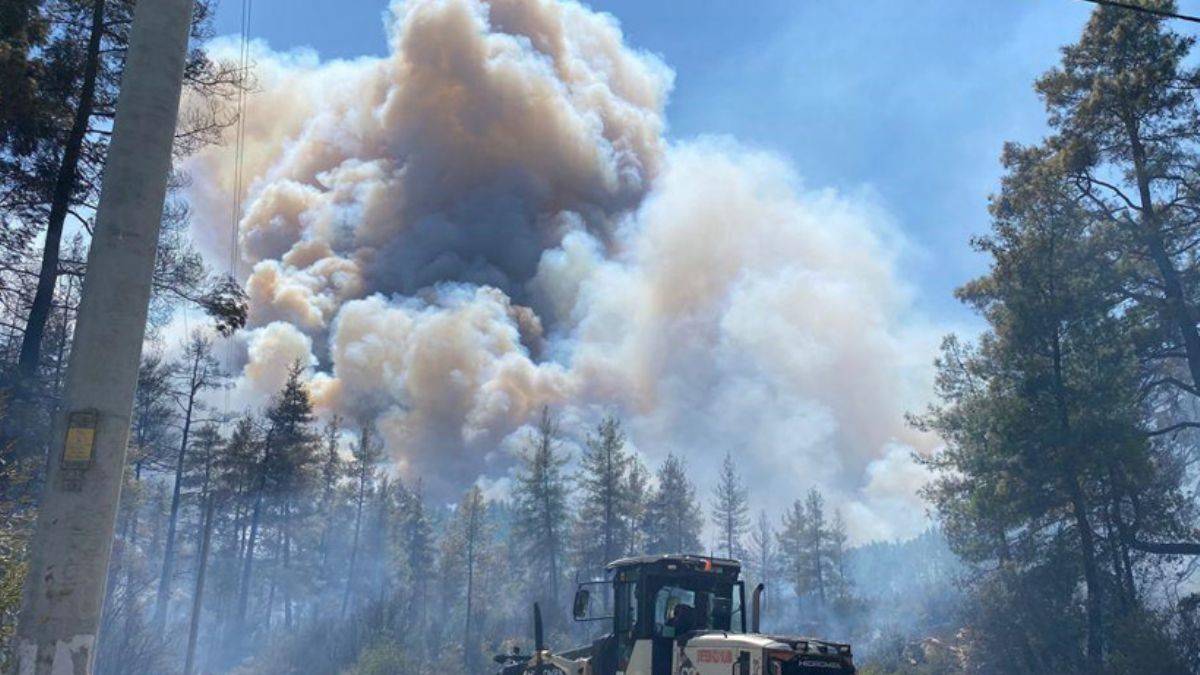 Burdur'daki yangın kontrol altına alındı