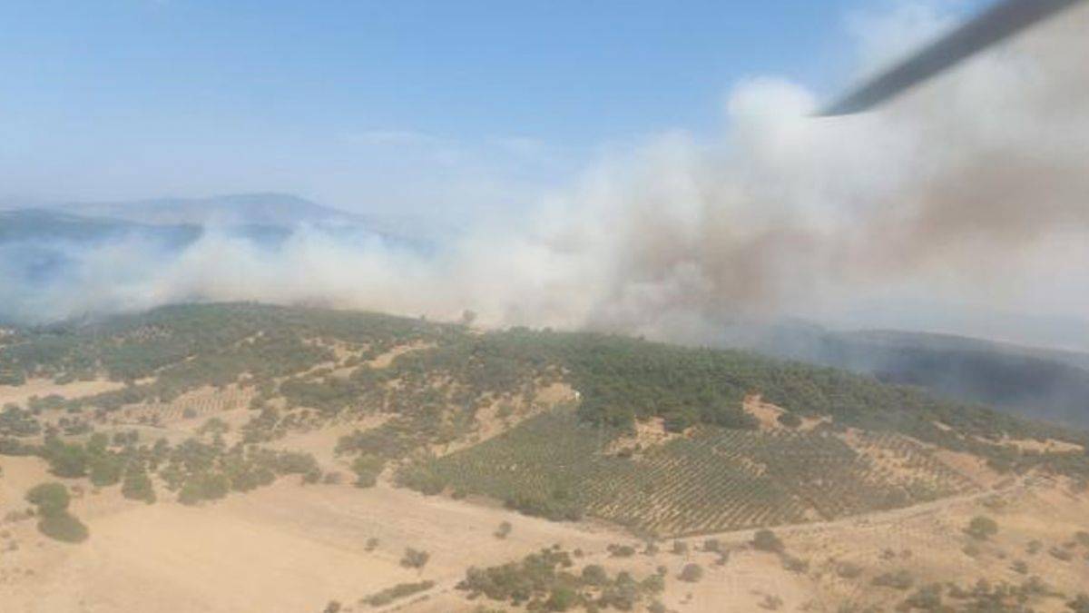İzmir Foça’da yangın