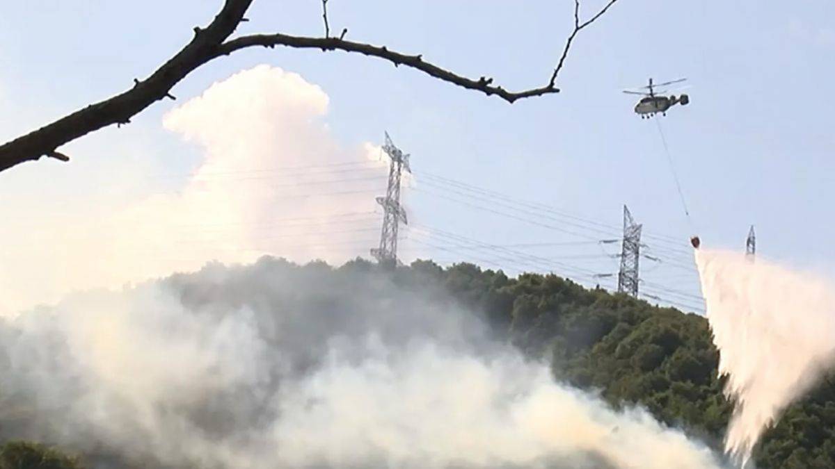 Sarıyer'de orman yangını