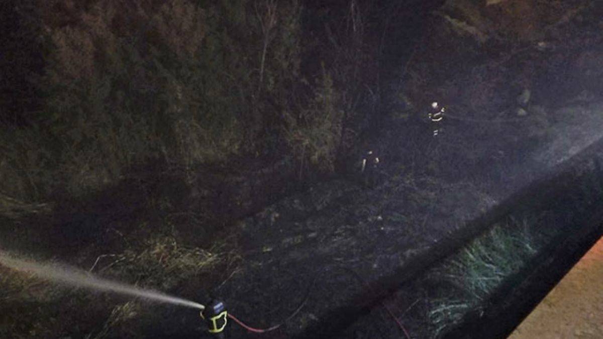 Orman girişindeki otları ateşe veren 4 kişi tutuklandı