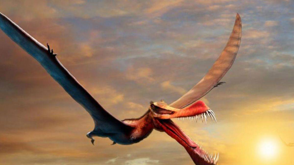 Ejderha tasvirlerine çok benzeyen uçan sürüngen keşfedildi