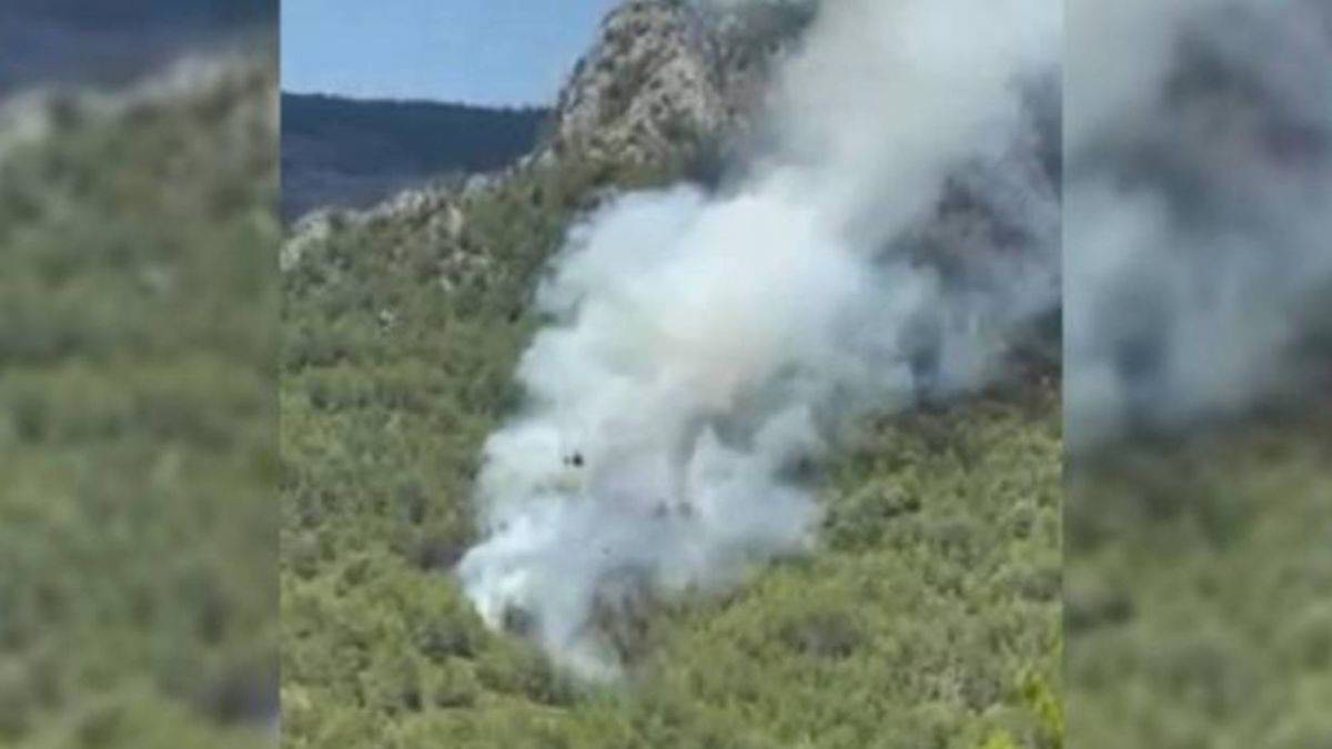 Alanya'da orman yangını mı çıktı? Alanya'da yangın nerede hangi mahallede çıktı?