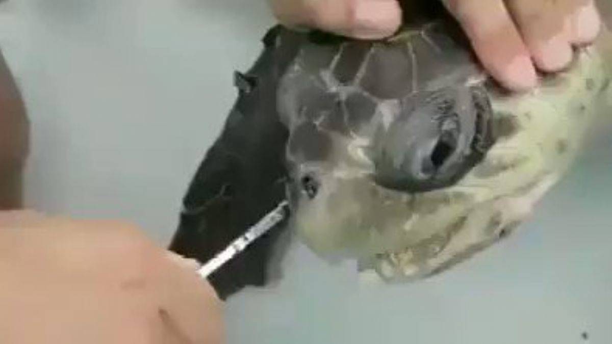 Denize çöp atmadan önce bir kez daha düşünün!