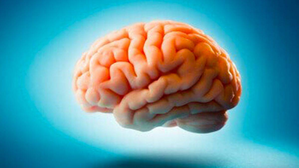 Beyin hakkında doğru olduğunu düşündüğünüz 5 efsane