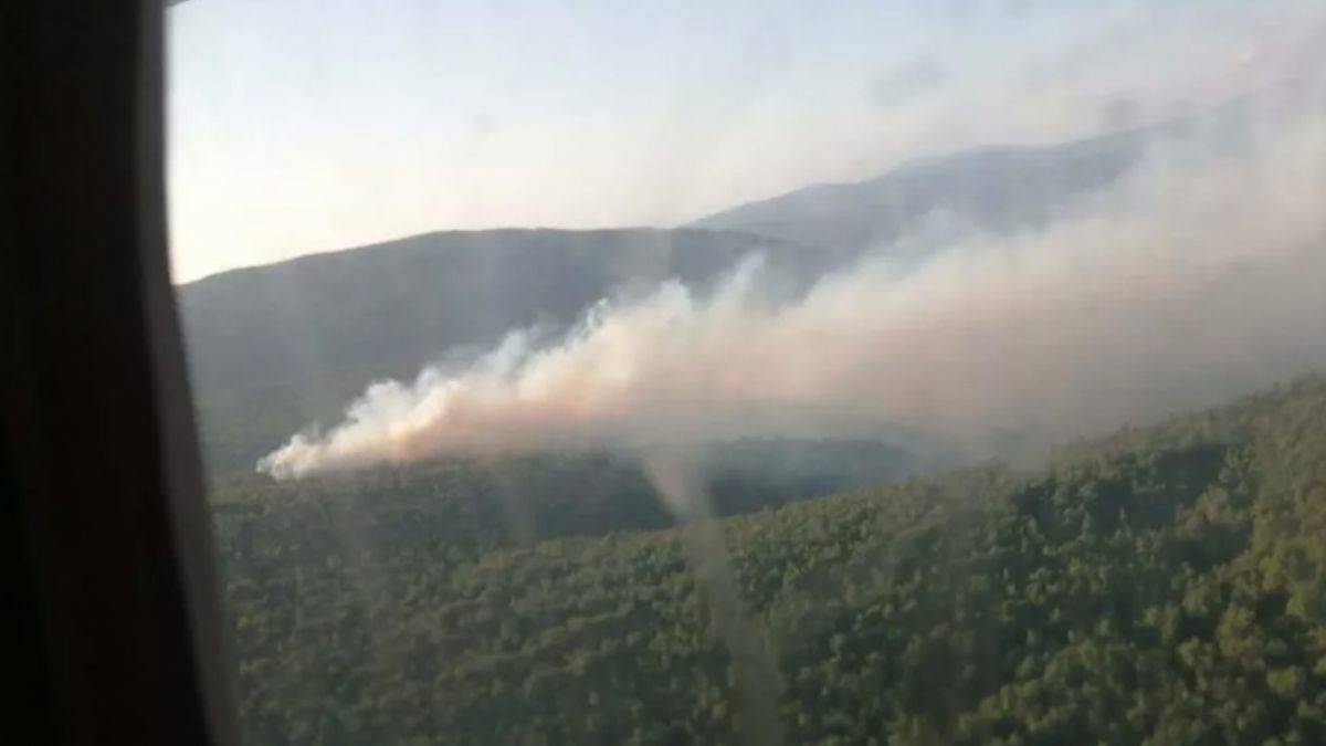Çeşme'de orman yangını