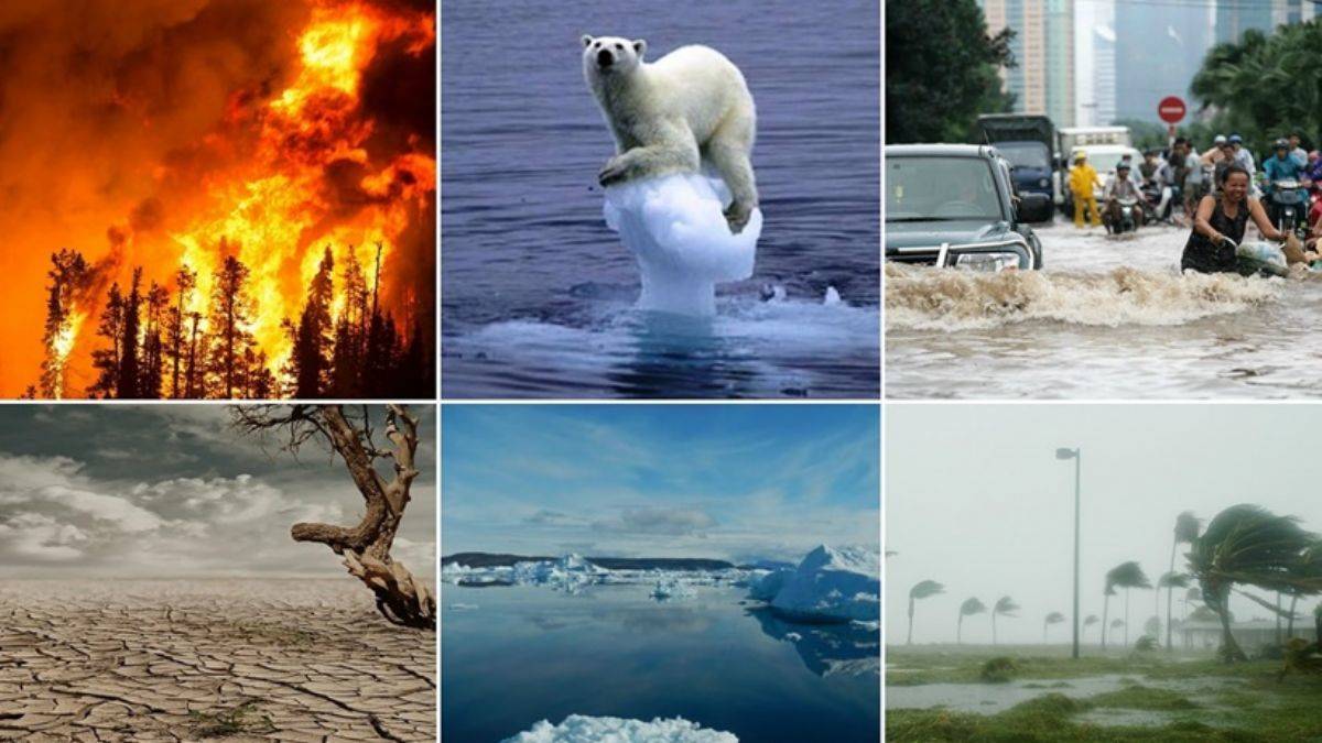 İklim krizi sigortacılığı da değiştiriyor