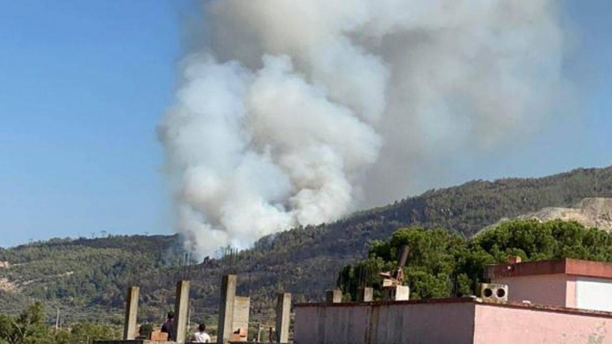 Aydın’da orman yangını