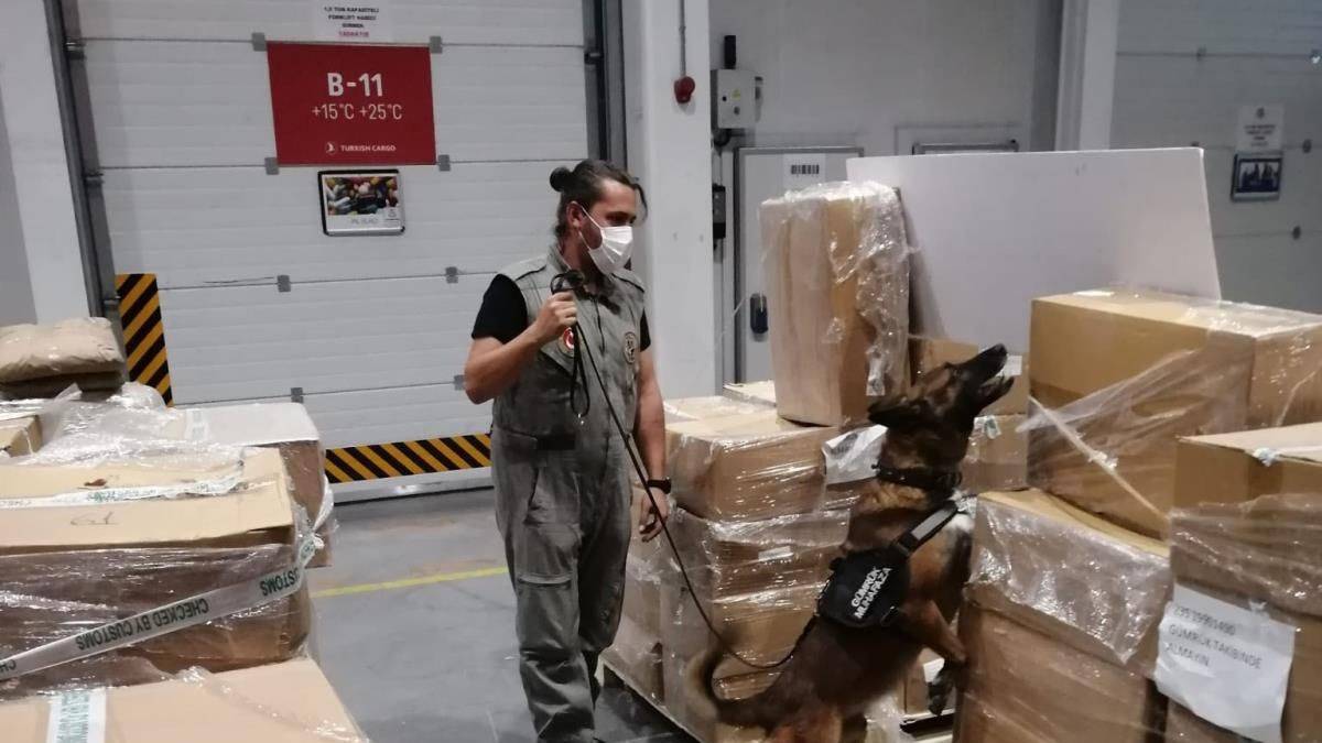 İstanbul'da başlayan uyuşturucu operasyonu Hollanda'da bitti